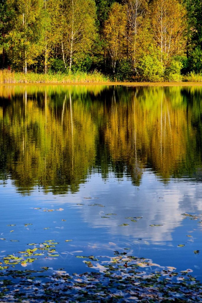 Сексуалдық киска массажы видео Тай